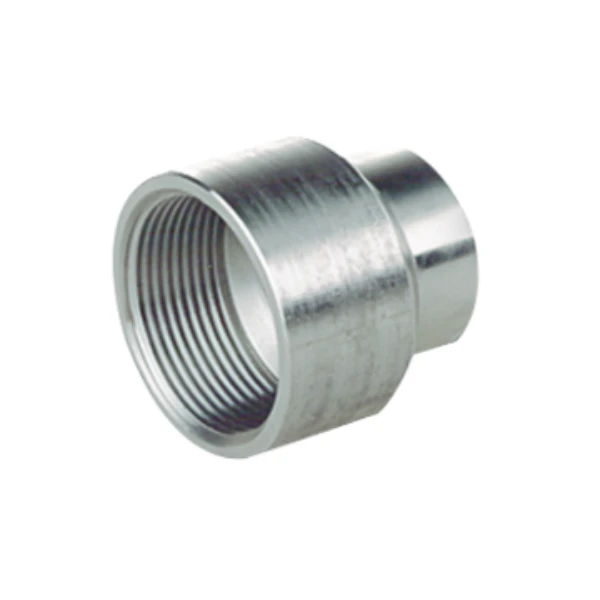 Stainless Steel Flange Shaft Coupling Female Pipe Coupler Adapter Fitting Threaded Couplet suppliers